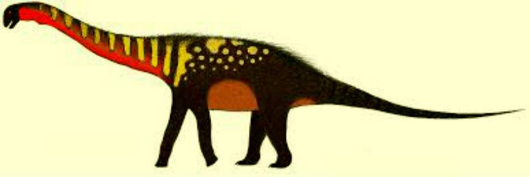 Quetecsaurus, Cretaceous
(Меловой период)